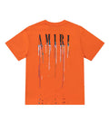 Camiseta Amiri